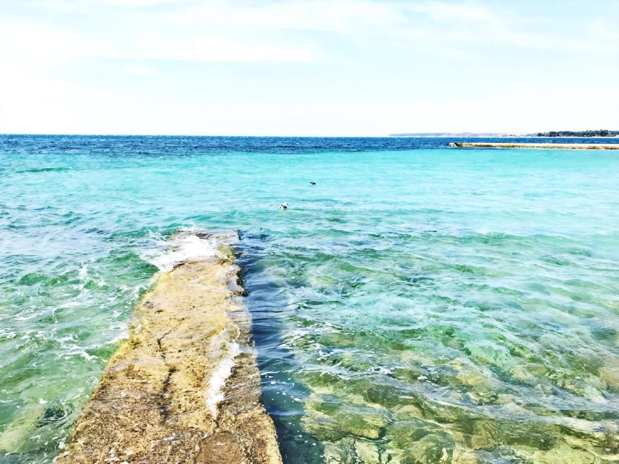 Grosse In Mit Grossem Garten Und Meerblick Apartmán Umag